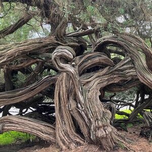 Meet your Posher, Gigi